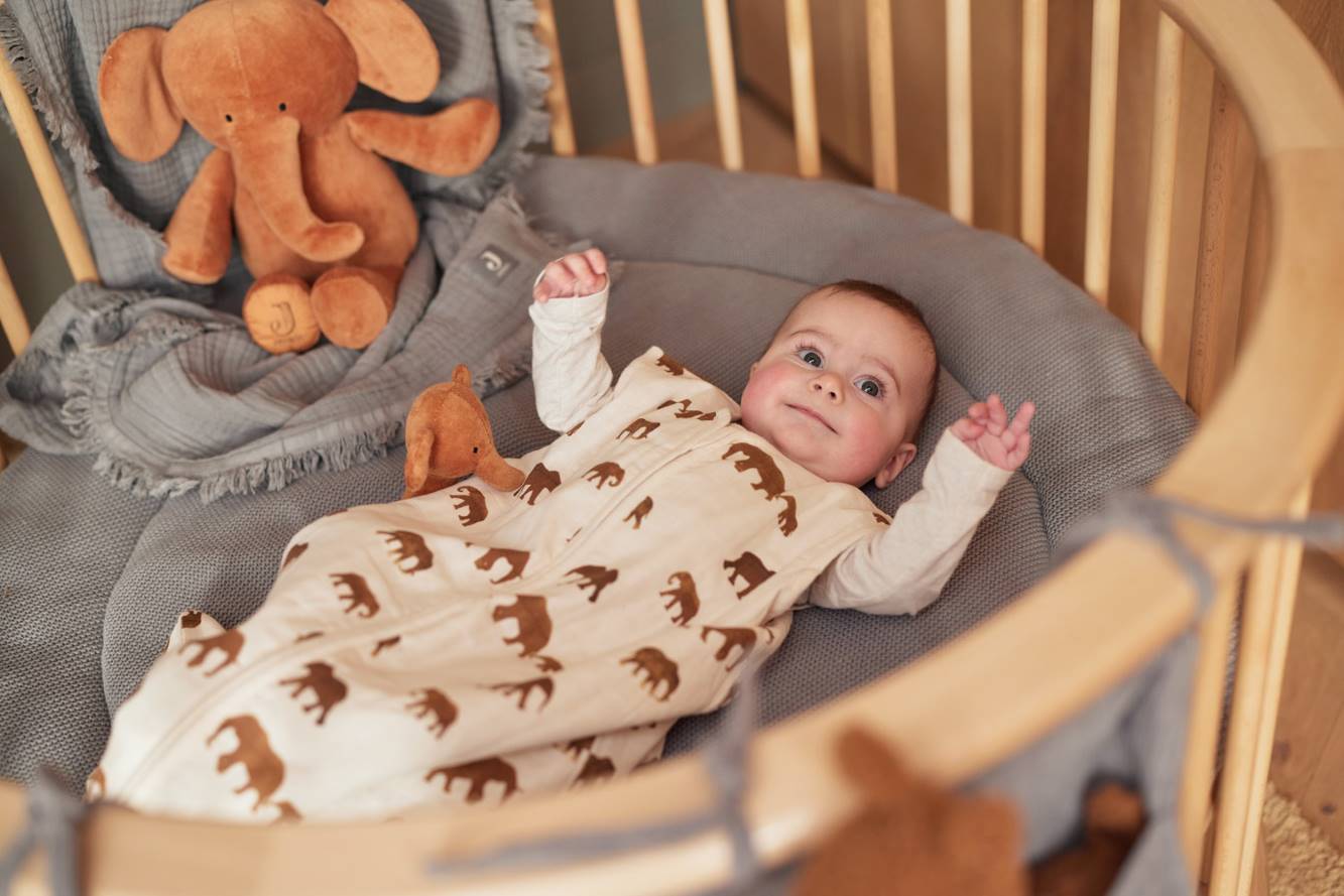 Selectionkreativ - Elephant im Hintergrund mit Baby